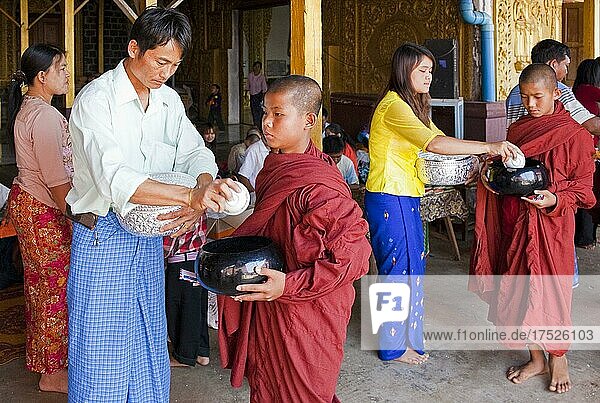 Rice feeding at the inauguration ceremony of A Lo Taw Pauk Pagoda  Inle Lake  Myanmar  Inle Lake  Myanmar  Asia