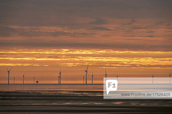Offshore wind farm at sunset  New Brighton  Cheshire  England  United Kingdom  Europe