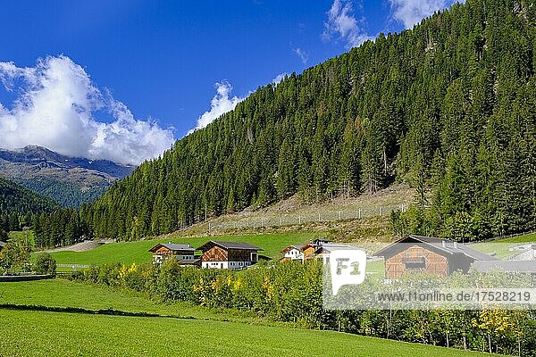 Bergbauernhöfe bei St. Gertraud  Ultental  Provinz Südtirol  Trentino-Südtirol  Italien  Europa