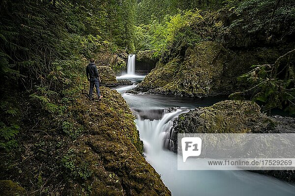 Junger Mann blickt in die Ferne  Spirit Falls  Wasserfall fließt über Felsvorsprung  Basaltfelsen  Langzeitaufnahme  herbstlicher dichter Wald  Washington  USA  Nordamerika