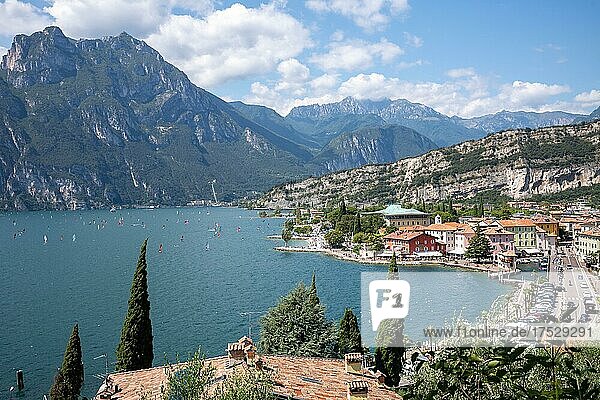 Torbole  Gardasee  Trentino-Alto Adige  Italien  Europa