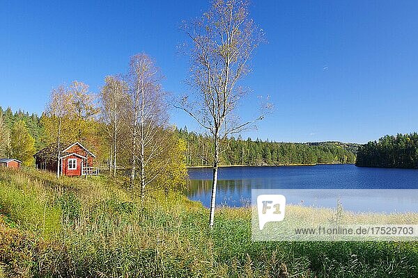 Kleine rote Hütte am Ufer eines Sees  Herbst  Oktober  Bullaren  Bohuslän  Schweden  Europa