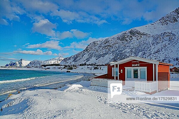 Rotes Ferienhaus in Winterlandschaft  Strand  Ramberg  Lofoten  Nordland  Norwegen  Europa