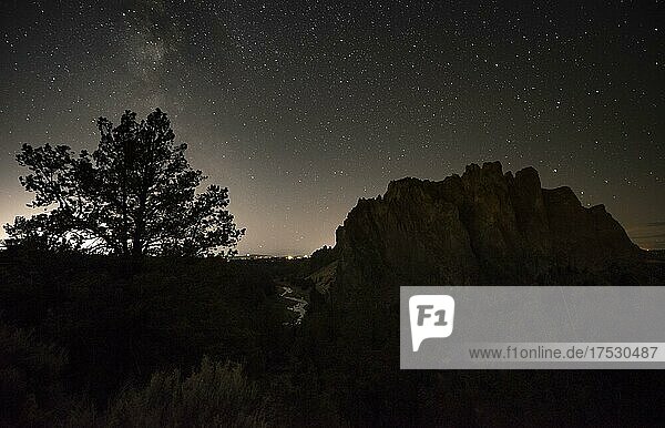 Tree and canyon against night sky  starry sky with Milky Way  Smith Rock State Park  Oregon  USA  North America