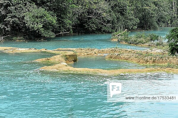 Türkisfarbenes Wasser bei den Cataratas de Agua Azul  Wasserfälle des blauen Wassers  Palenque  Chiapas  Mexiko  Mittelamerika