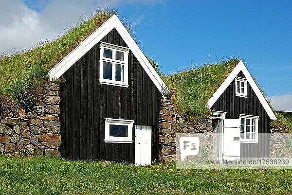 Grassodenhäuser im Skaftafell Nationalpark  Island  Europa