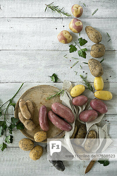 Studio shot of different varieties of raw potatoes