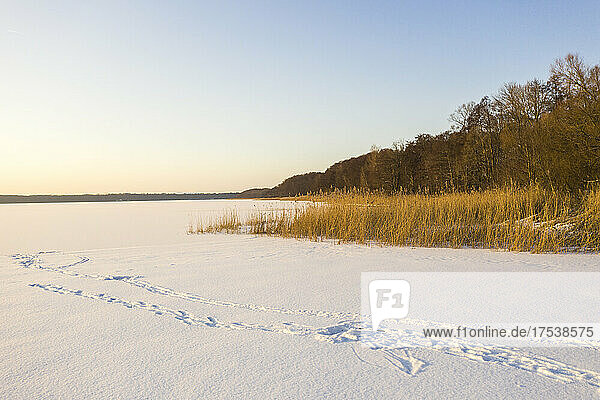 Footprints on snow covered terrain at dusk