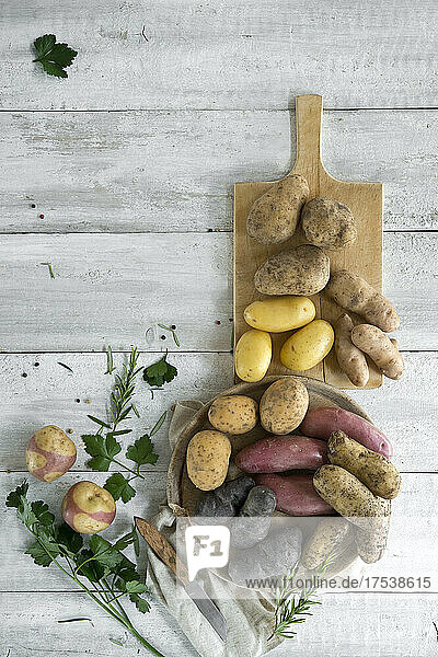 Studio shot of different varieties of raw potatoes