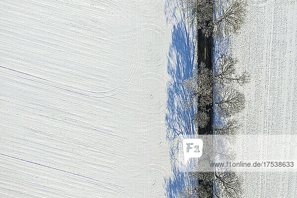 Drone view of snow covered field and treelined road in winter
