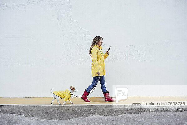 Young woman using mobile phone walking with dog on footpath