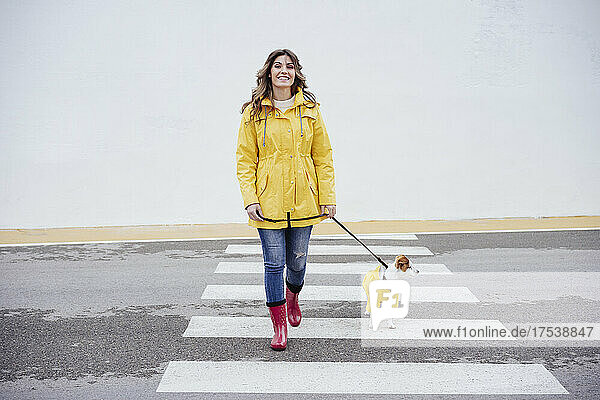 Smiling woman crossing road with Jack Russell Terrier dog