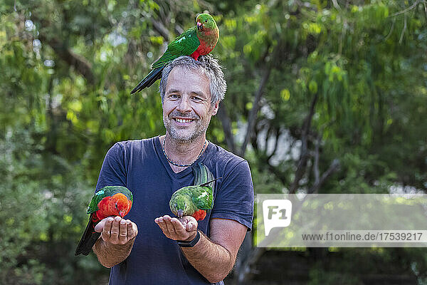 Smiling tourist feeding king parrots on hands and head