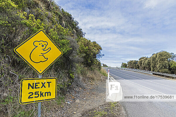 Koala warning sign on roadside