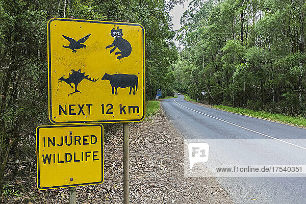 Animal crossing sign along stretch of Great Ocean Road