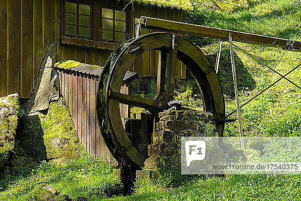 Germany  Baden-Wurttemberg  Bad Wildbad  Water wheel in Kurpark
