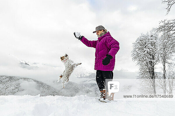 Dog jumping towards snowball in man's hand