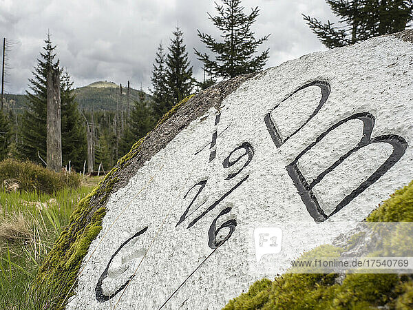 Stone border marker in Bavarian Forest