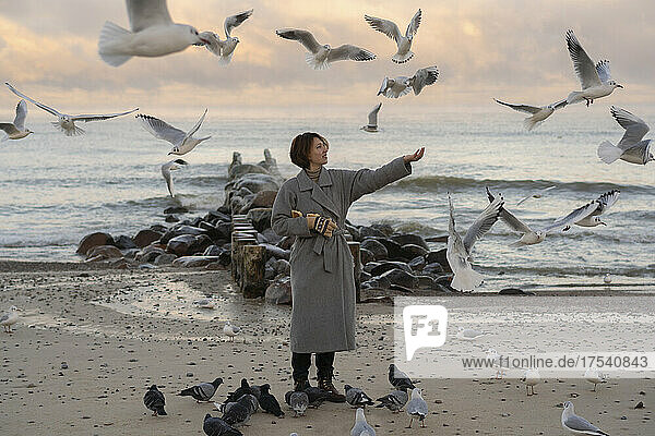 Young woman feeding seagulls and pigeons at sunset