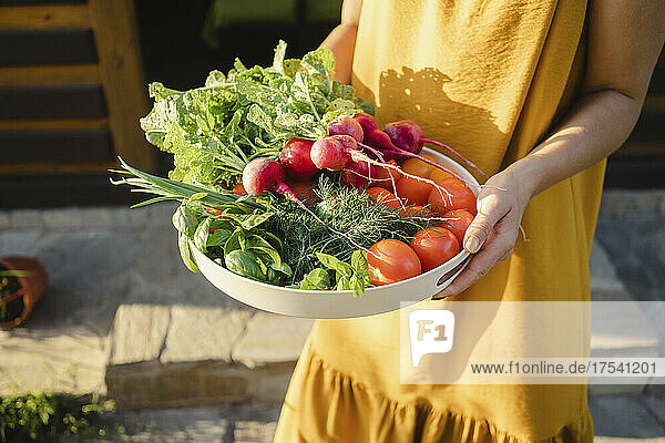 Woman holding fresh vegetables in plate on sunny day