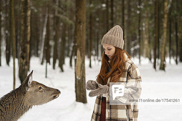 Redhead woman by deer in winter forest