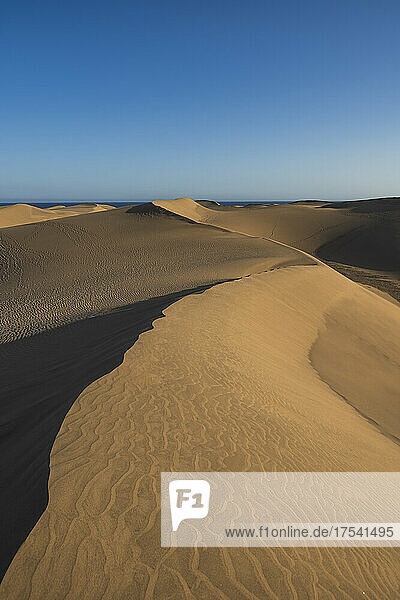 Sanddünen in der Wüste unter blauem Himmel bei Sonnenuntergang  Gran Canaria  Kanarische Inseln  Spanien