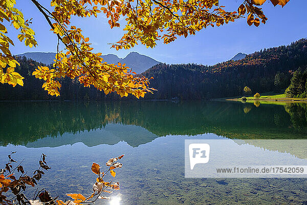 Scenic view of Alatsee lake in autumn