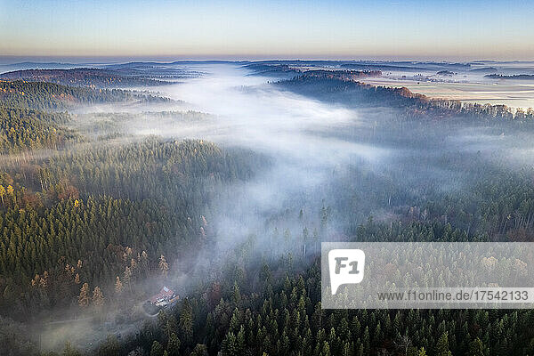 Drone view of Welzheim Forest shrouded in morning fog