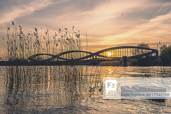 Germany  Hamburg  Norderelbbrucken bridge at sunset with reeds in foreground