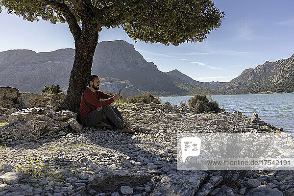 Man sitting on rock by tree at lakeshore  Cuber Dam  Mallorca  Balearic Islands  Spain