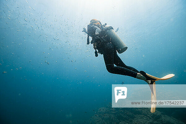 Woman swimming undersea below school of fish at Del Coco beach
