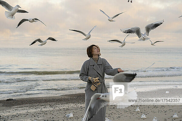 Young woman feeding seagulls on shore at beach