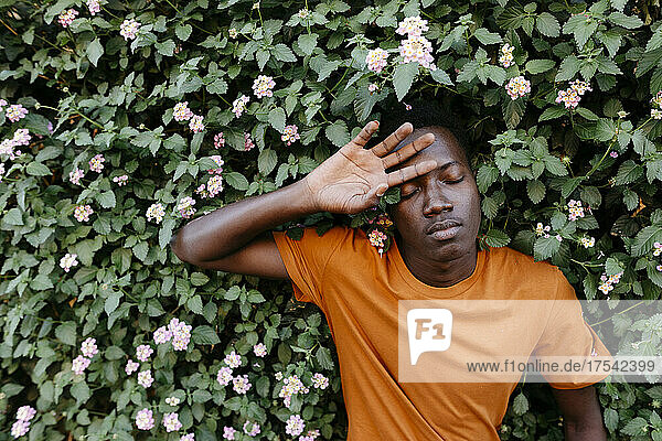 Man relaxing with eyes closed amidst flowering plants