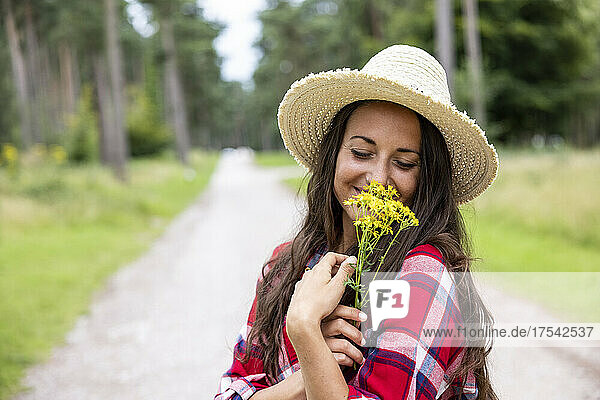 Smiling woman with hat smelling yellow daisy flowers on road at Cannock Chase