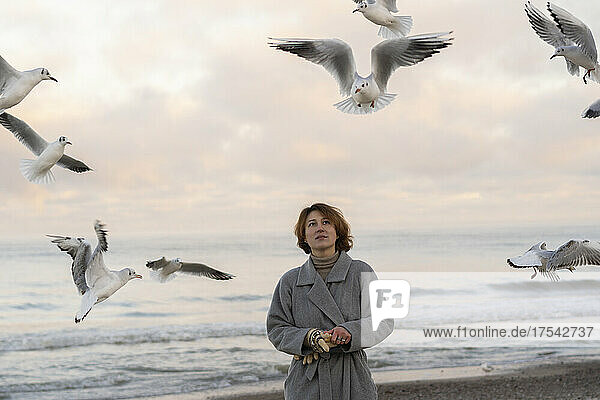 Young woman looking at seagulls flying at beach