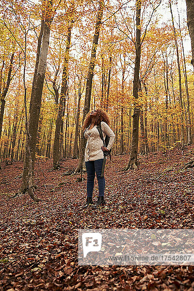 Young woman looking at trees standing in autumn forest