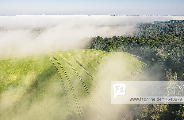 Germany  Bavaria  Munsing  Aerial view of countryside field shrouded in morning fog