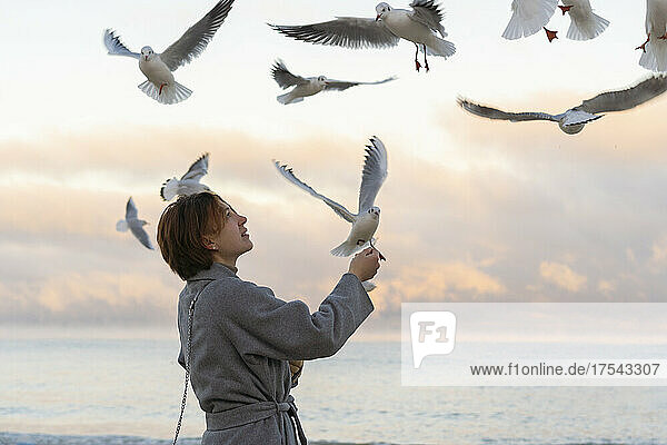 Young woman feeding seagulls at beach