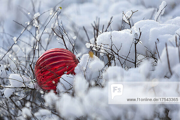 Red Christmas ornament lying in snow