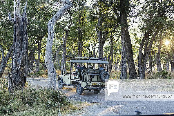 A safari jeep travelling along a pathway through the bush at sunrise.