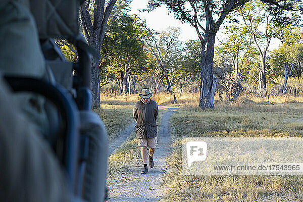 safari guide at sunrise  Okavango Delta  Botswana