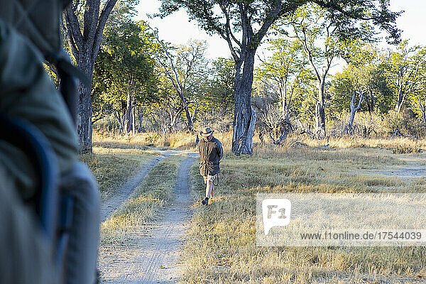 A safari guide walking on a path ahead of a vehicle at sunrise.