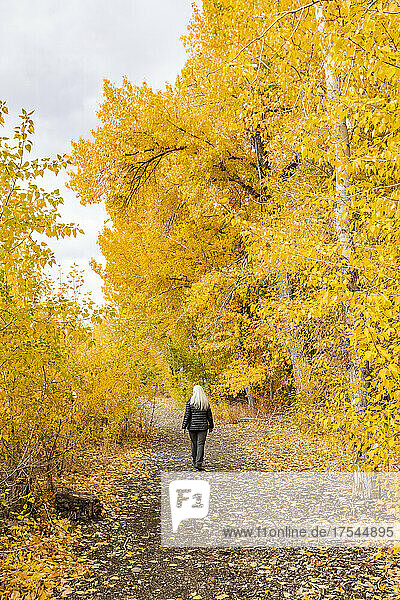 USA  Idaho  Bellevue  Rear view of woman walking on footpath in Autumn forest