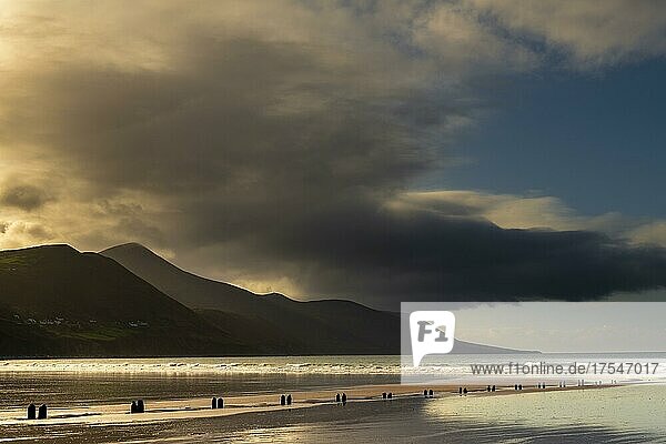 Sandstrand mit Pfählen im Sand und Bergen und Wolkenhimmel im Hintergrund  Killarny  County Kerry  Irland  Europa