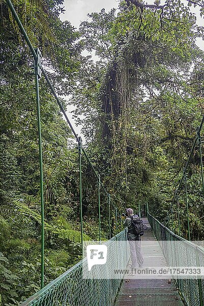 Fotograf auf Hängebrücke im Selvatura Park  Monteverde  Provinz Guanacaste  Costa Rica  Mittelamerika