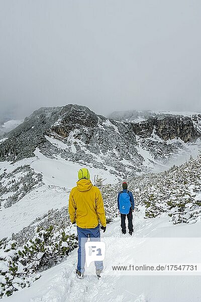Two hikers on a hiking trail in the snow  hiking to Geigelstein in spring  Chiemgau Alps  Bavaria  Germany  Europe