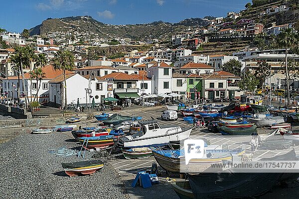 Boats at the port of Camara de Lobos in Madeira  Portugal  Europe