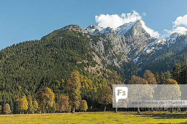 Karwendelgebirge mit Herbstfarben  Hinterriss  Tirol  Österreich  Europa