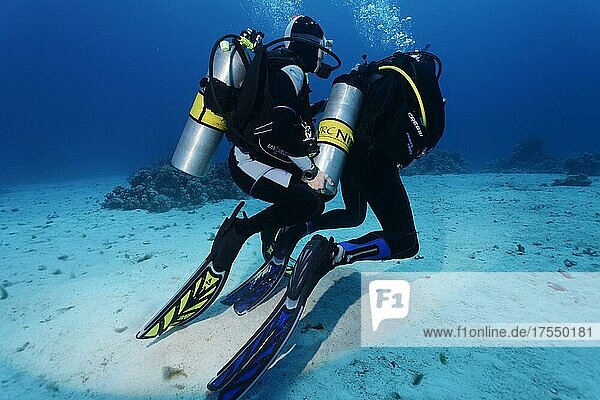 Diver helps other diver  loose scuba  nitrox  Port Safaga  Red Sea  Egypt  Africa