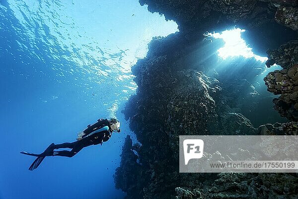 Divers in front of coral reef wall with breakthrough  Sunbeams  Um Gammar  Red Sea  Hurghada  Egypt  Africa